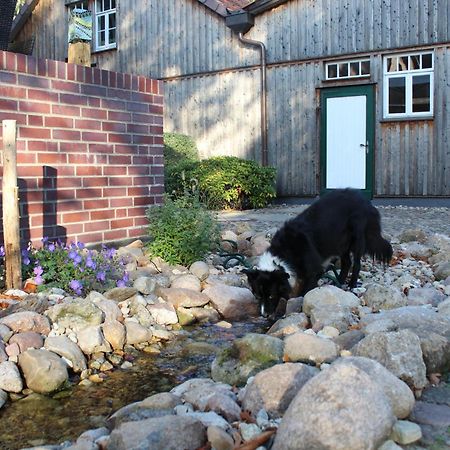 Landgasthof Wildwasser Wolthausen Exteriér fotografie