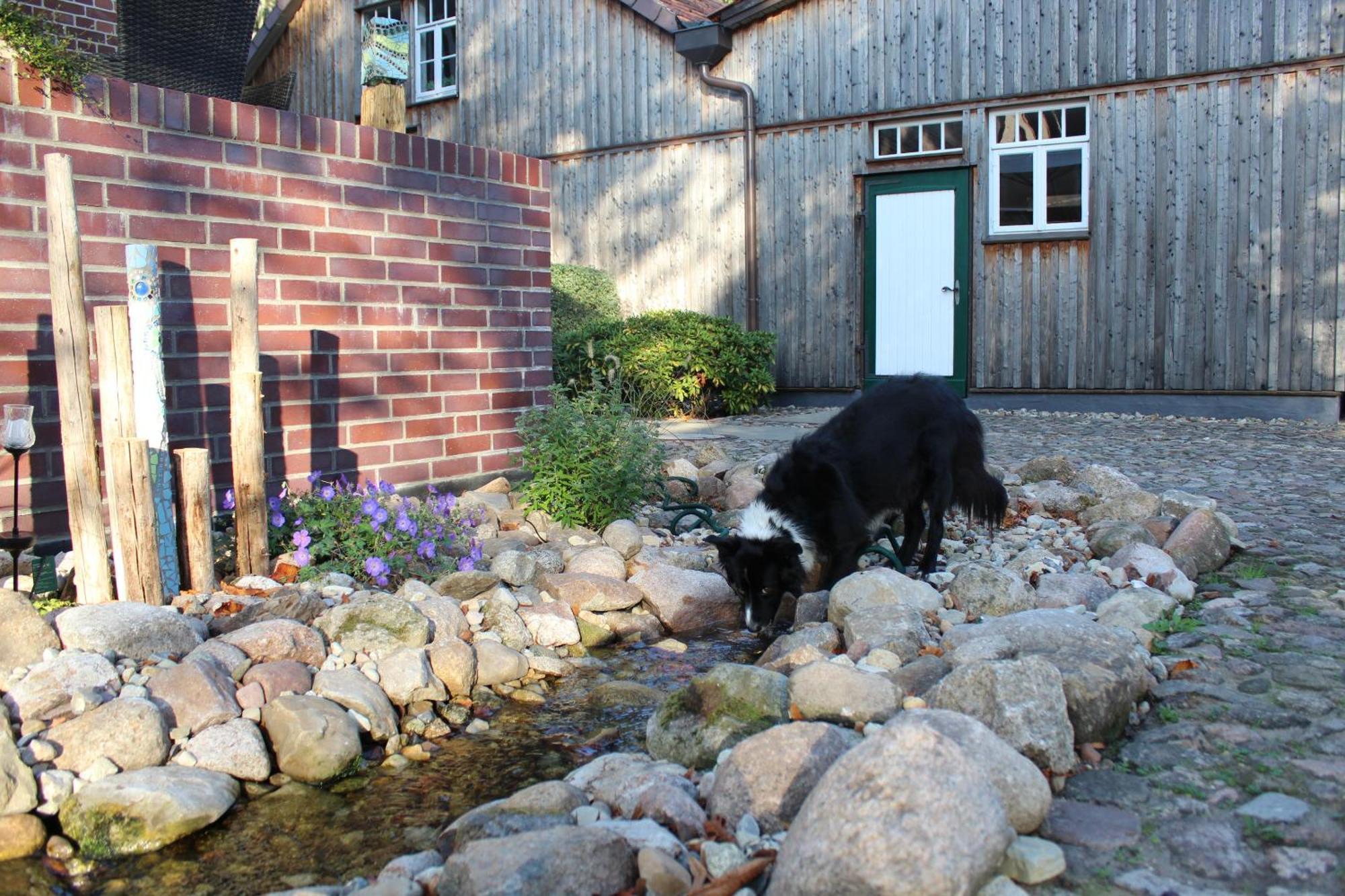 Landgasthof Wildwasser Wolthausen Exteriér fotografie